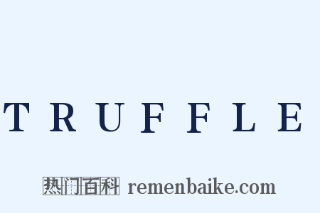 TRUFFLE是什么意思的图片